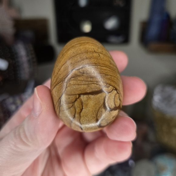 Wood Jasper Crystal Egg Carving - Picture 1 of 3